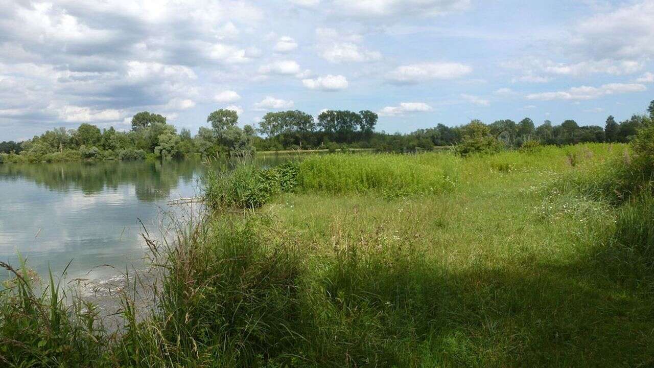 Biodiversité Strasbourg dénombre ses espèces rares pour mieux les préserver