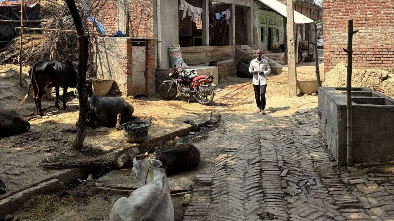 Elections en Inde : les ruraux, grands oubliés de Narendra Modi