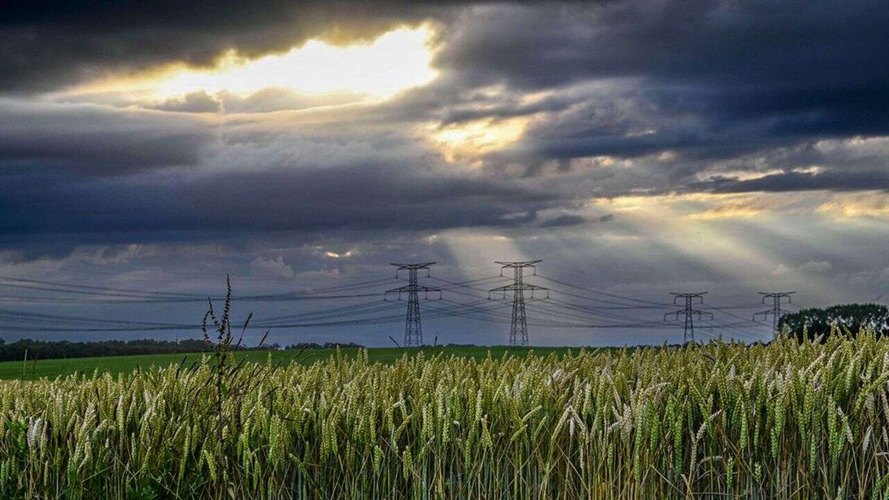 Alimentation : les trois moteurs de l'export agricole français sont en panne