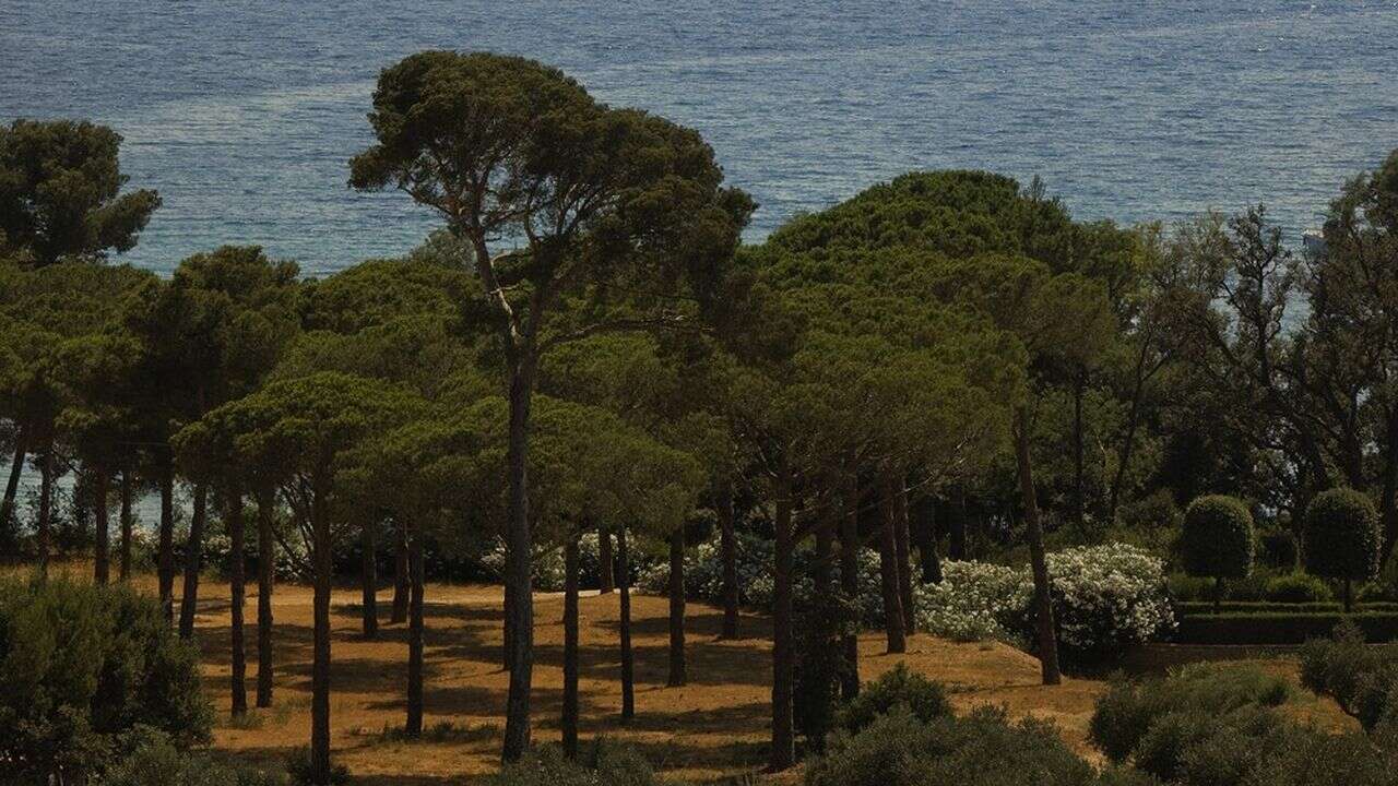 Quand la Provence se fait mousser