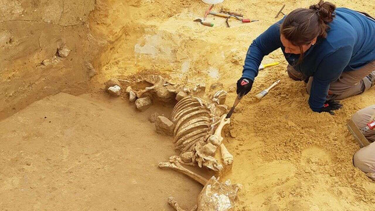 A Pontoise, la découverte de l'une des plus grandes nécropoles gallo-romaines d'Île-de-France