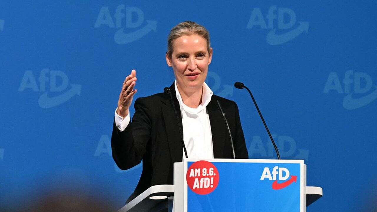 UE : un troisième groupe d'extrême droite se forme au Parlement autour de l'AfD