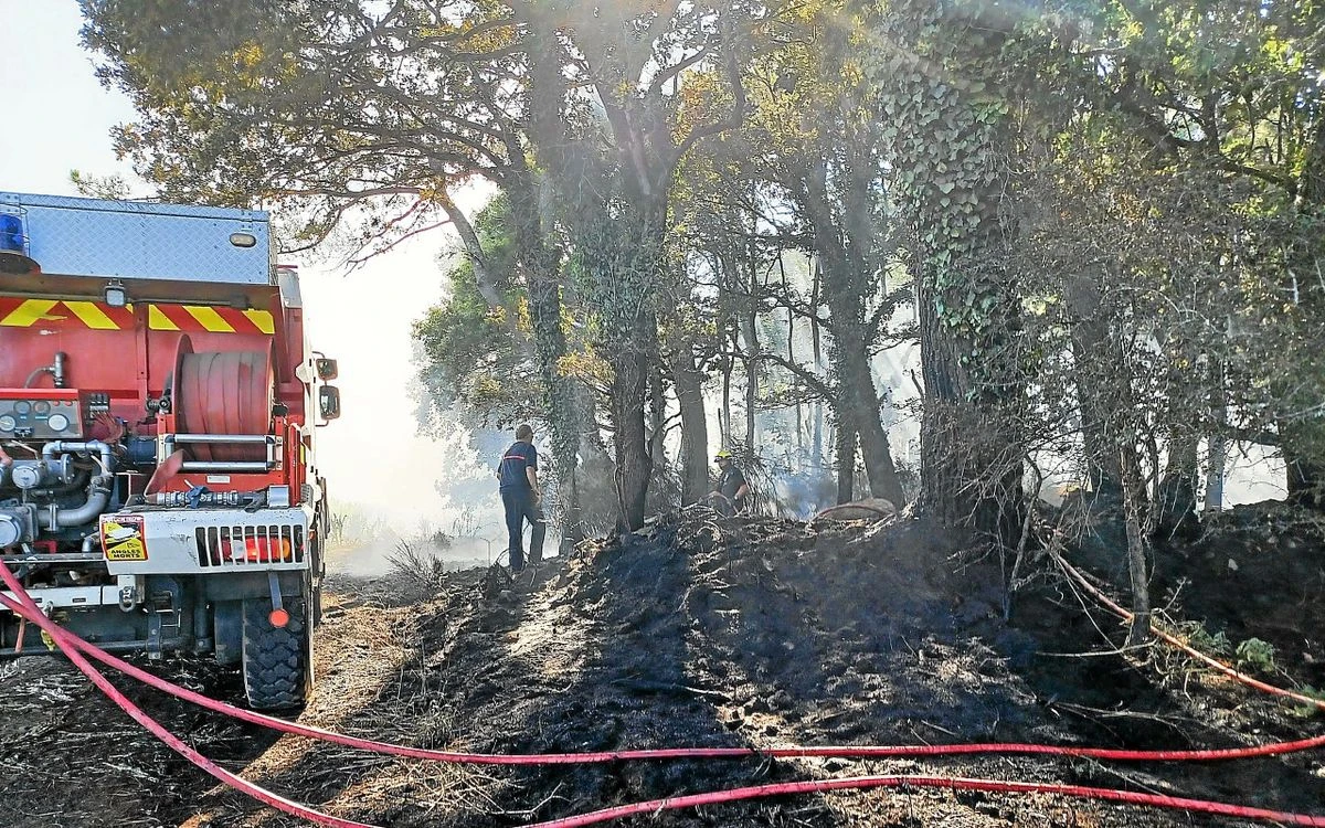 Des feux d’espaces naturels dans le sud et l’est du Morbihan ravagent 5 hectares de végétation