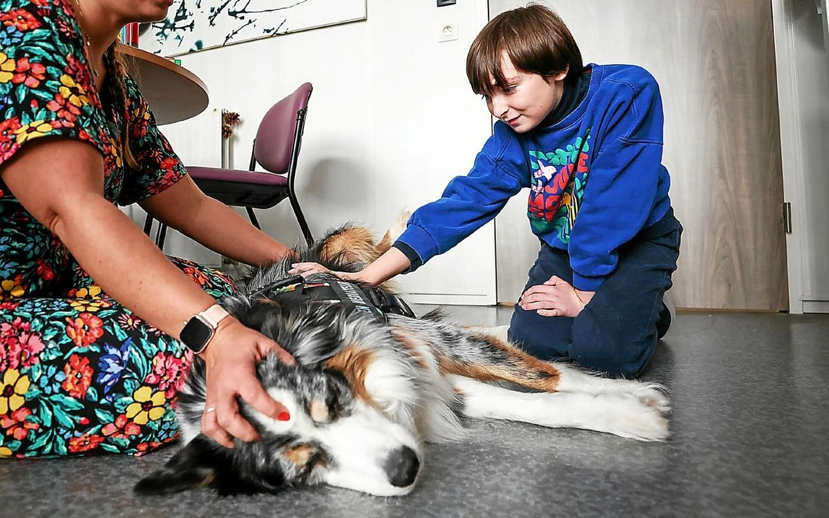 « Mon fils ne veut plus entendre le nom de l’école où il a été harcelé », raconte la maman d’Andrea, près de Brest