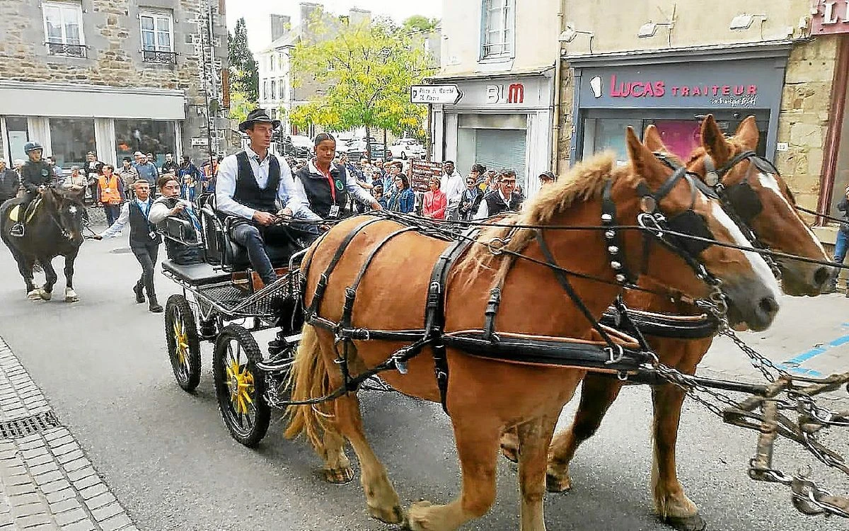 Modélisme, fête du cheval, pop culture, festival du jeu… Que faire en Bretagne, ce week-end des 27 et 28 septembre 2025 ?