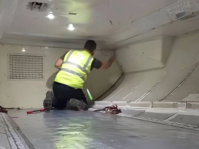 VIDEO: Serpiente en vuelo de Virgin Australia causa retraso de dos horas