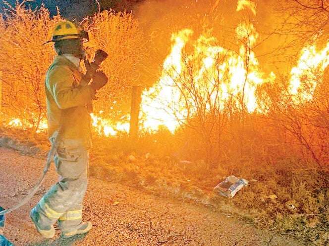 Al menos tres estados, azotados por incendios