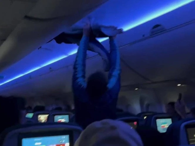 VIDEO: Paloma 'se burla de la seguridad' y se sube a un vuelo de pasajeros