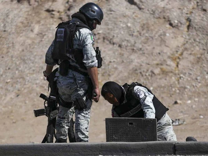 Operación Frontera Norte deja 4,875 detenidos y asegura más de 41 toneladas de droga