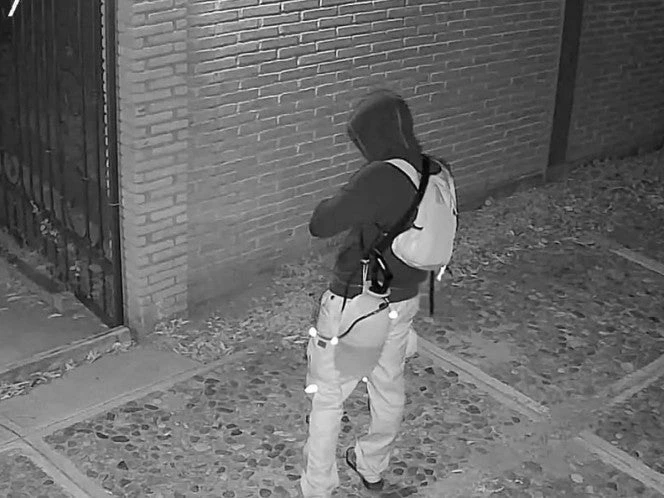 Fiscalía de Oaxaca investiga agresión con ácido a perritos Nena y Nina