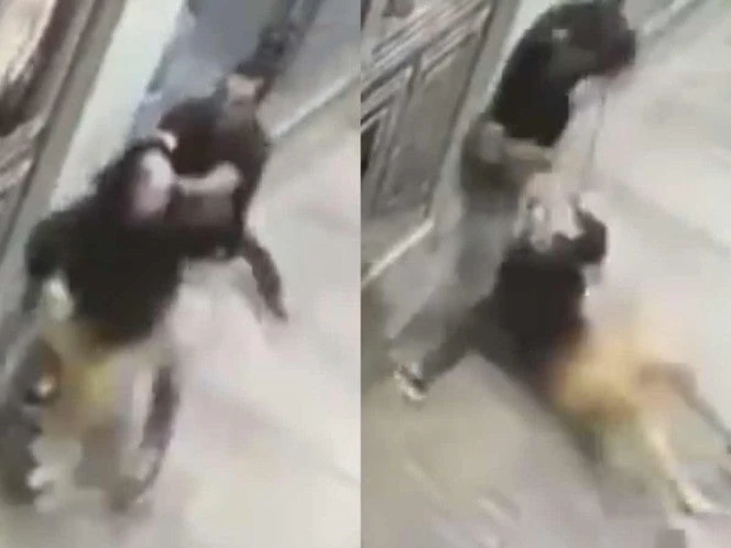 Mujer embarazada es brutalmente golpeada por un hombre en Jalisco; Fiscalía revela detalles | VIDEO