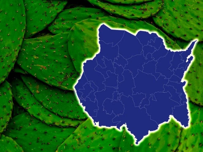 Esta entidad es el Rey del Nopal; exporta a EU, Canadá y Europa