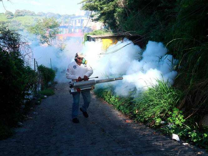 Se reportan 150 casos nuevos de dengue en el país; Jalisco encabeza lista