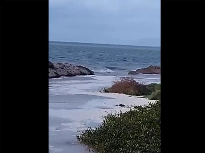 Se esperan lluvias intensas en BCS por la tormenta tropical Raymond