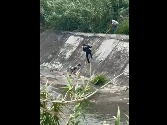 ¡Héroes! Salvan a perrito de morir ahogado en un arroyo (Video)