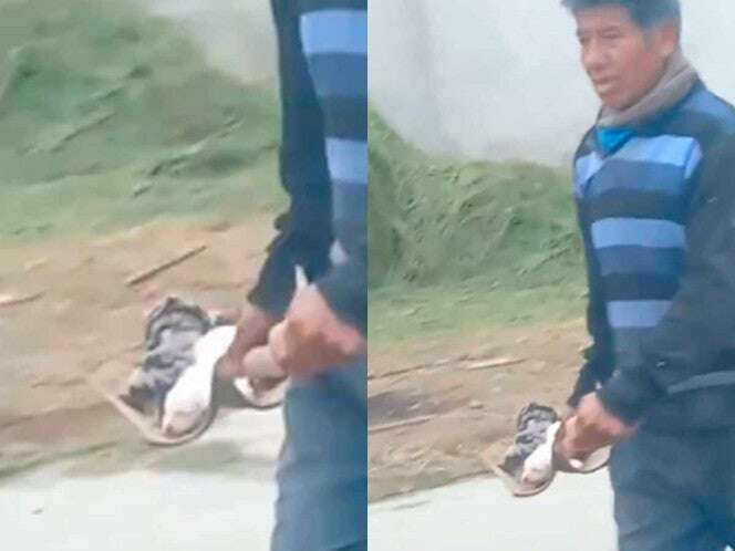 Captan a hombre lanzando cachorros a la calle con brutalidad en Puebla | VIDEO