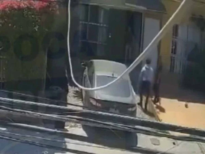 Cuatro sujetos roban en una casa en Tijuana; exhiben que uno era vecino de la víctima | VIDEO