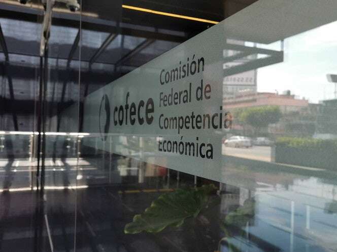 Cofece busca reubicar a sus expertos