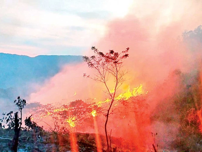 Cobran fuerza los incendios; hay activos 112, ubicados en 22 entidades
