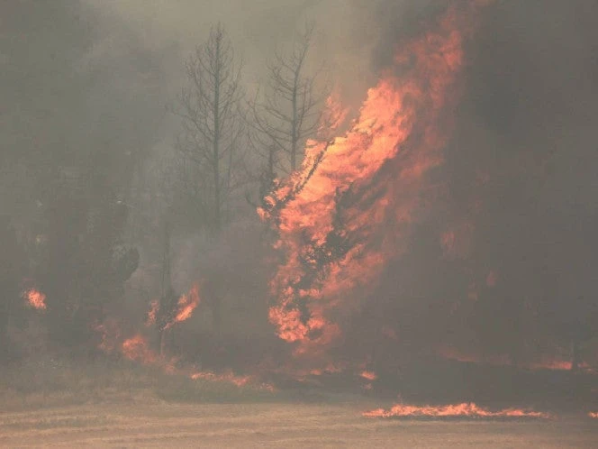 Incendios forestales se propagan en Israel y podrían llegar hasta Jerusalén