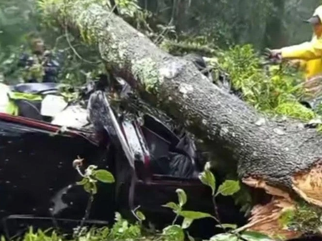 Árbol cae sobre auto en carretera y mata a dos personas 
