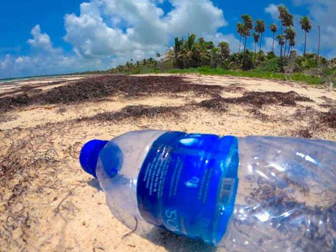 Alertan sobre generación de basura, principalmente plásticos, en fiestas de fin de año