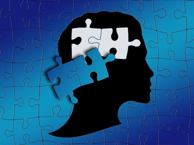 Inper presenta protocolo para embarazadas con autismo
