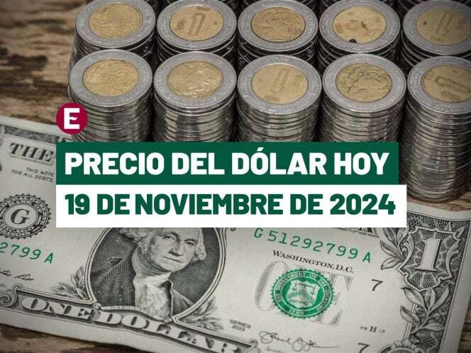 ¡Peso cae tras 4 sesiones de ganancias! Precio del dólar hoy 19 de noviembre de 2024