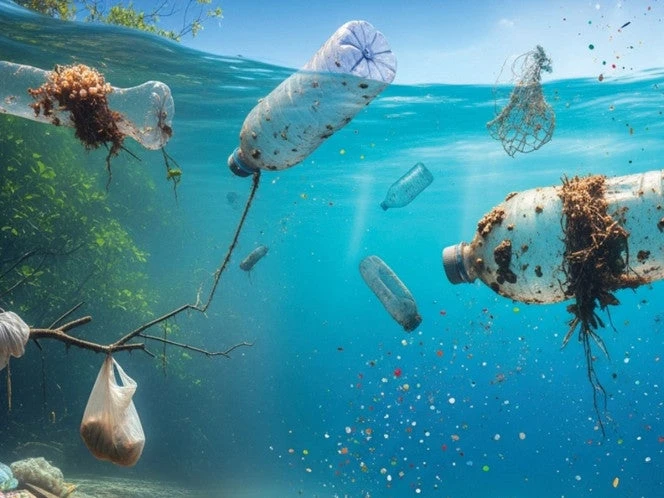 Fracasa plan contra polución de plástico; urgen a enfrentar desafío