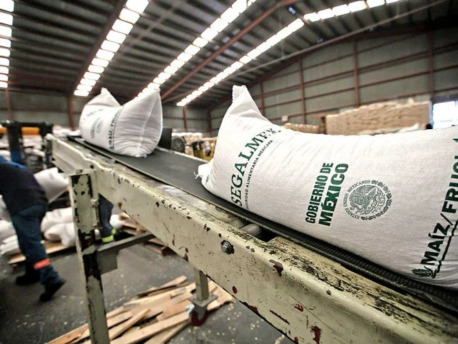 Sentencian a implicado en desfalco a Segalmex; los delitos: delincuencia organizada y lavado de dinero