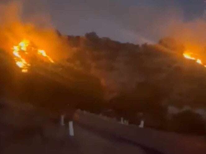 Combaten 12 incendios forestales en Chihuahua