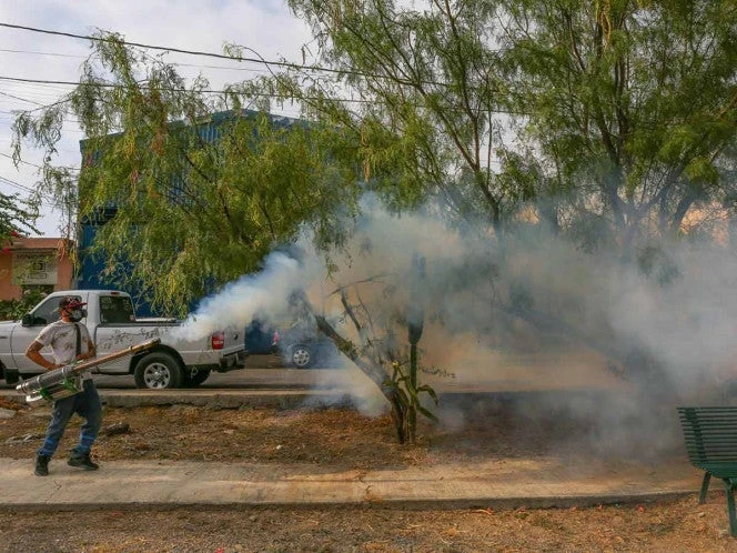 Reportan 16 muertes a causa del dengue en una semana