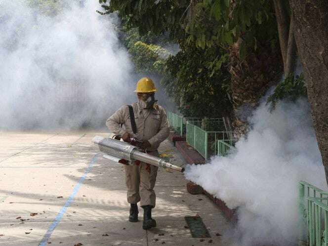 Se acumulan mil 178 casos de dengue en el país