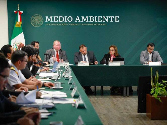 Reporte de CITES confirma que México incumplió Plan de Acción Vaquita Marina