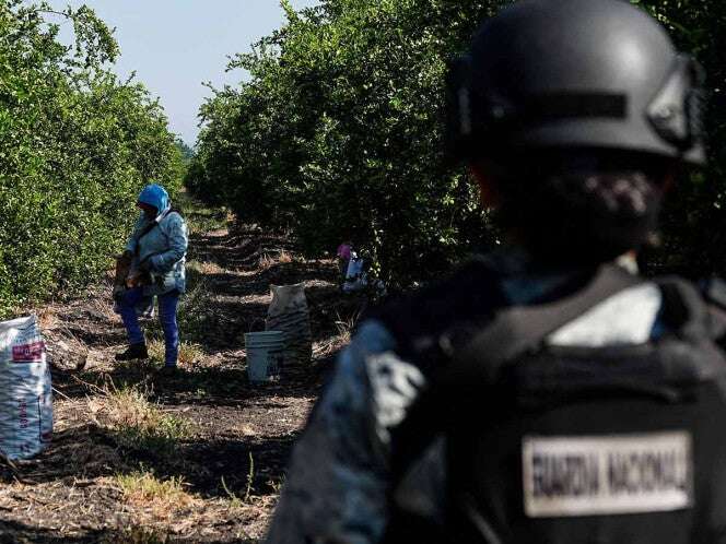 Gabinete de Seguridad realiza acciones contra la delincuencia en México