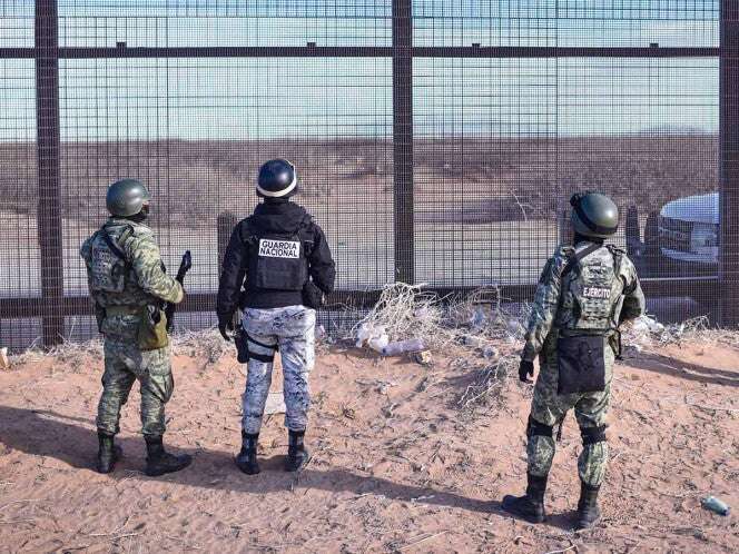 Operación Frontera Norte desmantela siete puntos de concentración de precursores en Sinaloa