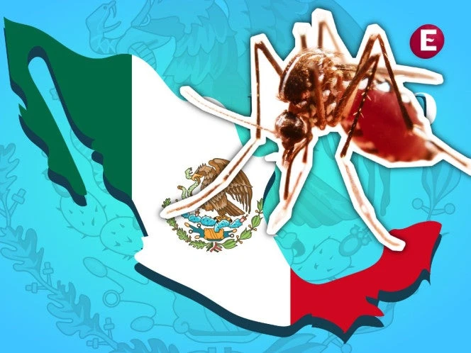 Casos de dengue en México rozan los 17 mil; hay dos estados sin contagios