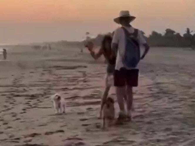 Turista extranjera agrede a perritos callejeros en Mazunte y desata indignación | VIDEO