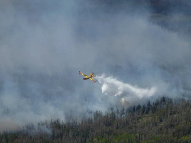 Cientos de incendios forestales avanzan en Canadá; los humos llegan hasta Europa