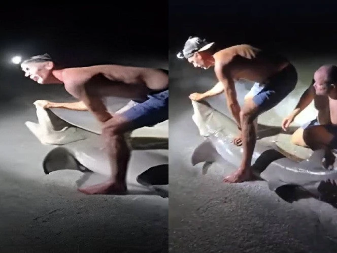 Tiburon ataca a pescador que quería tomarse una foto con él | VIDEO