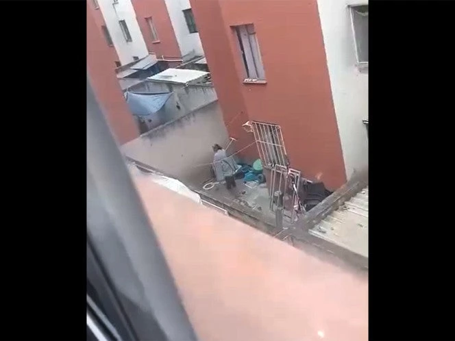 Mujer “agarra” a escobazos y moja a perrito en el patio de su casa
