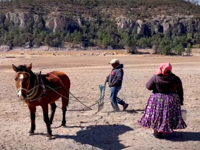 La sierra Tarahumara enfrenta desolación