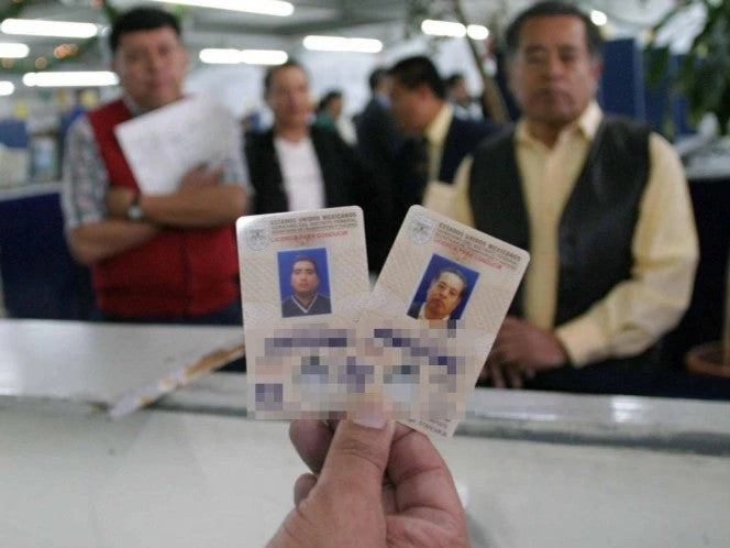 Cómo identificar licencias de conducir falsificadas