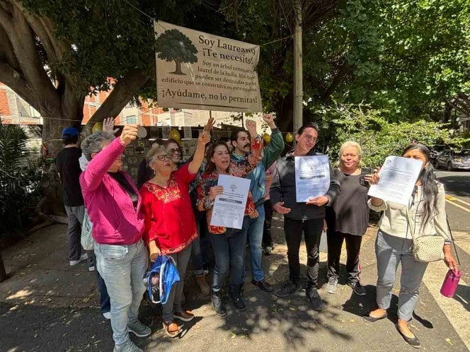 ‘Laureano’ ya es patrimonio; vecinos celebran protección del árbol en Benito Juárez 