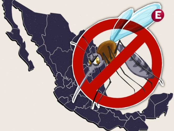 Dengue México 2025. Casos superan 5 mil, hay 32 muertes
