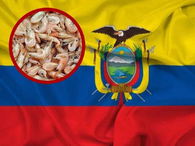 Camaroneros de Ecuador responden a Claudia Sheinbaum