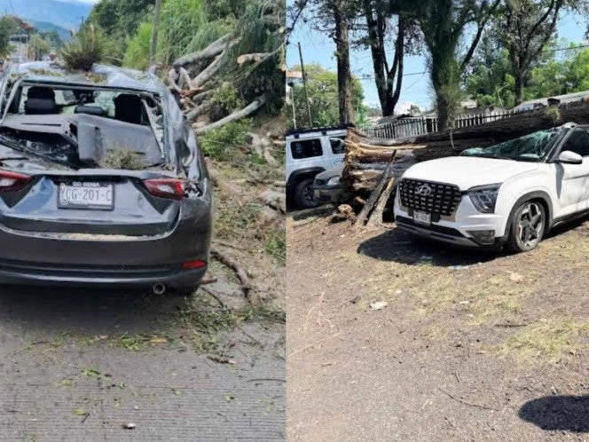 Frente frío deja personas heridas en Veracruz; así como daños en casas, autos y negocios