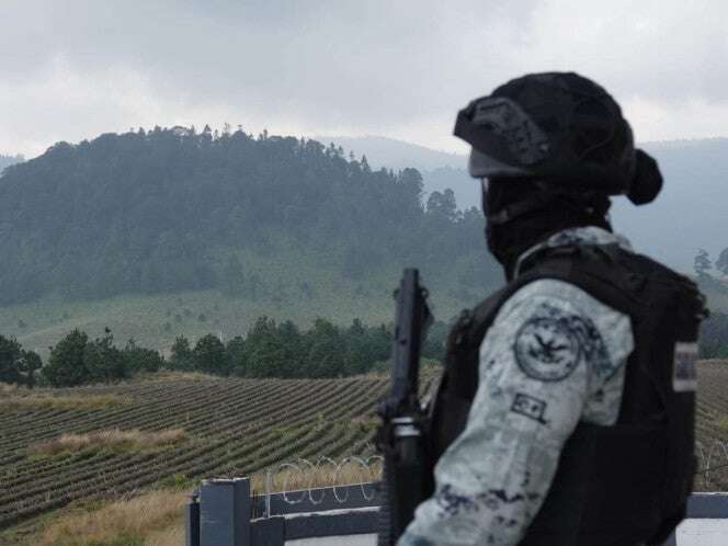 Ejército y Guardia Nacional recuperan madera de tala clandestina