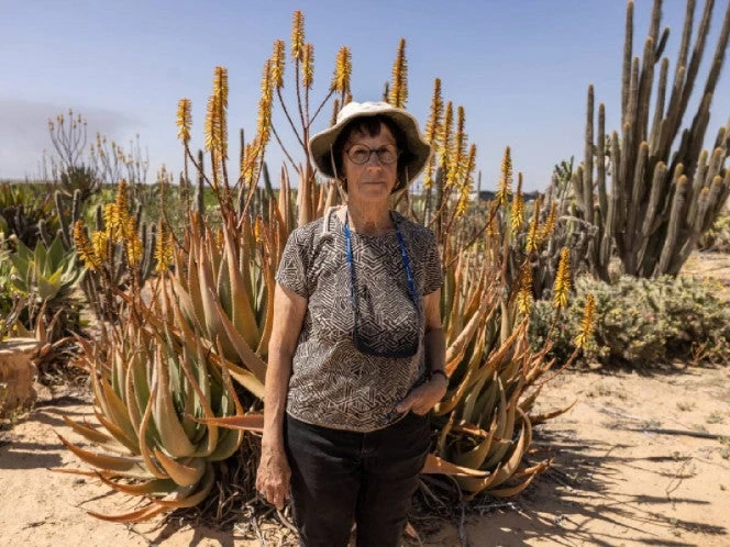 ¿Tequila en Gaza? Agricultores israelíes convierten guerra en oportunidad