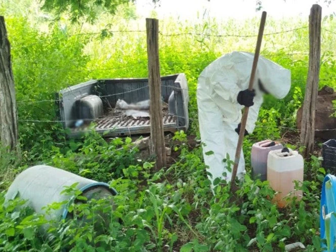 Defensa destruye área químicos para la elaboración de metanfetamina en Sinaloa